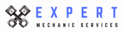Expert Mechanic Service